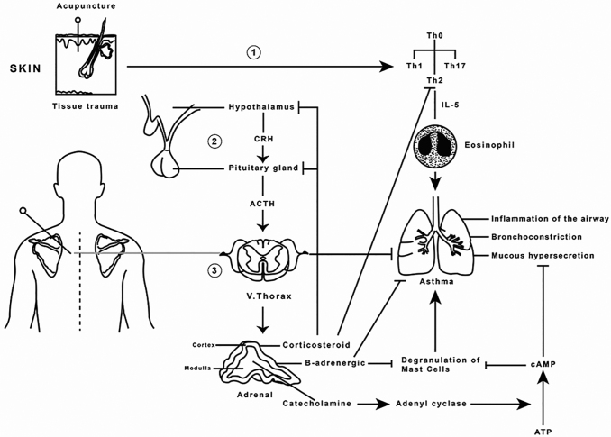 FIG. 1.
