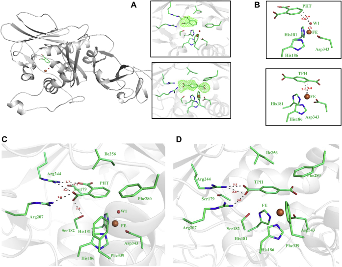 Figure 5