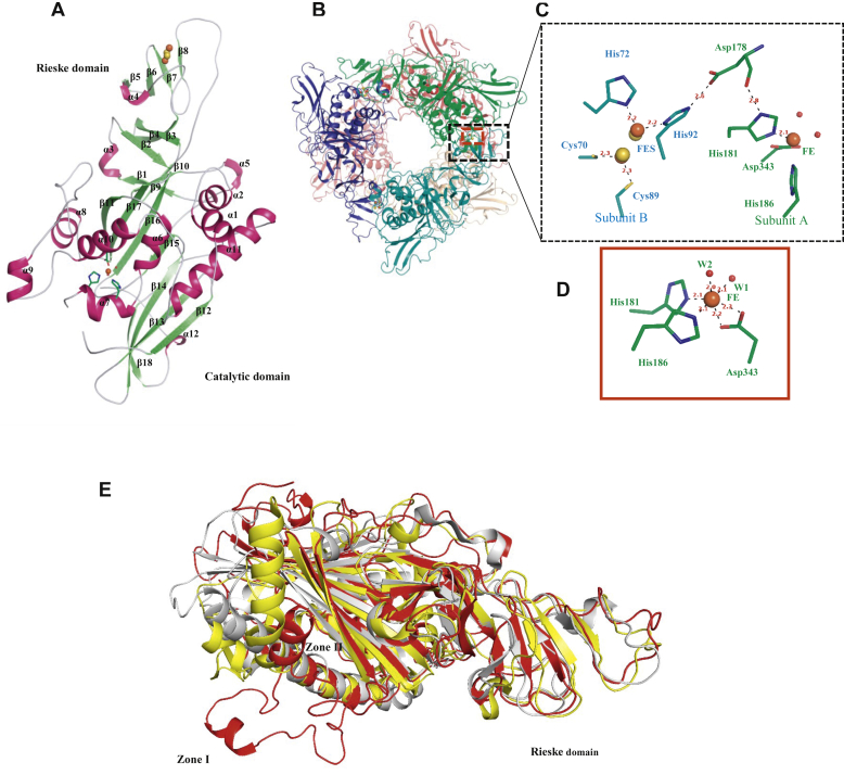 Figure 4