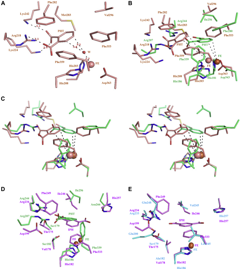 Figure 7