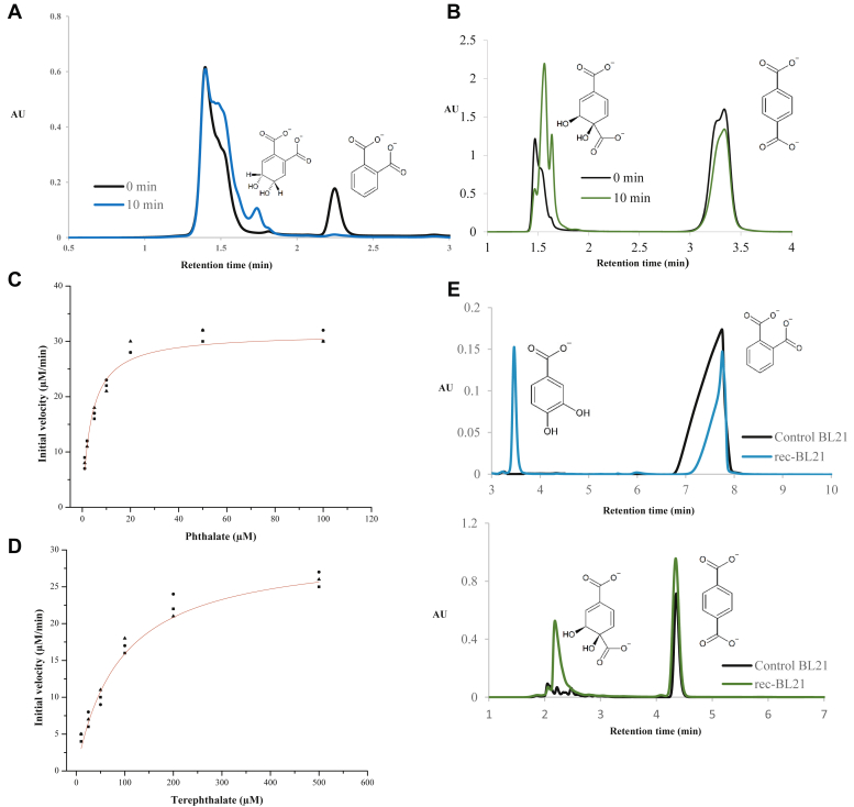 Figure 2