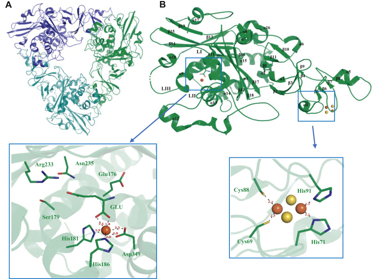 Figure 3