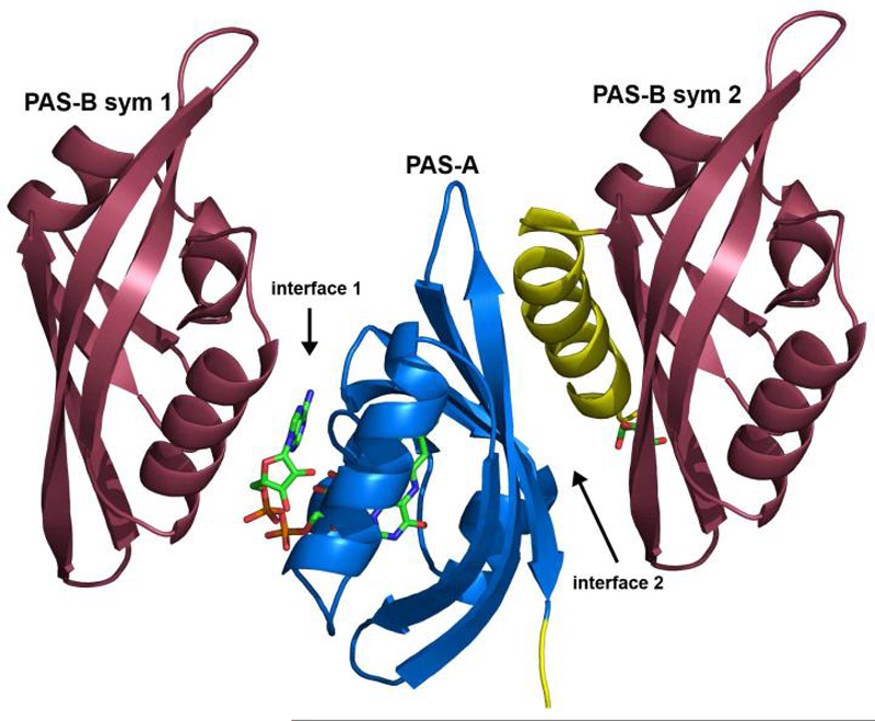 Figure 5