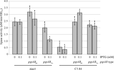 Fig. 6.