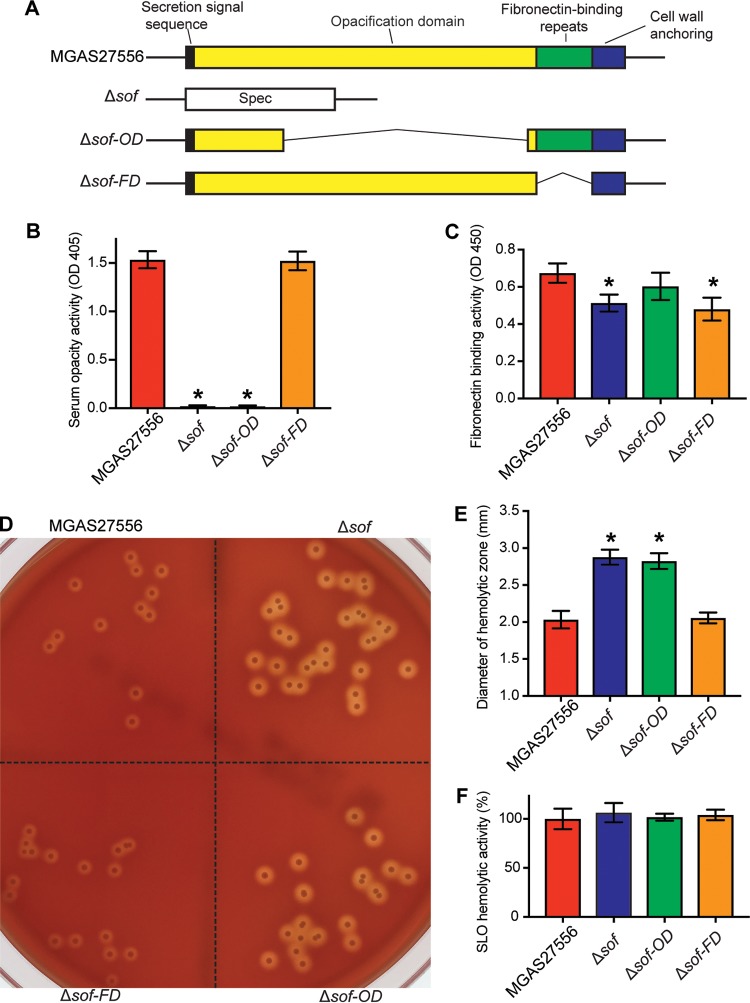 FIG 3 