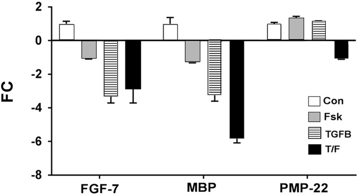 Figure 2.