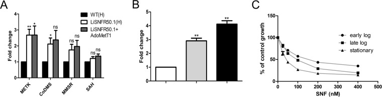 FIG 3