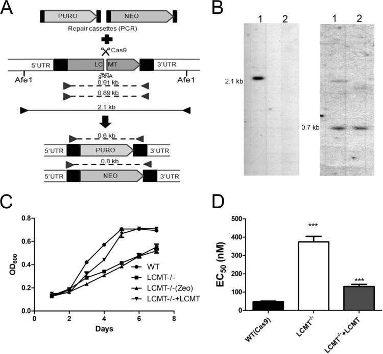 FIG 6