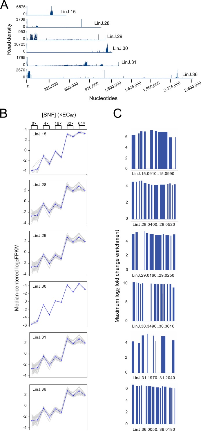 FIG 4