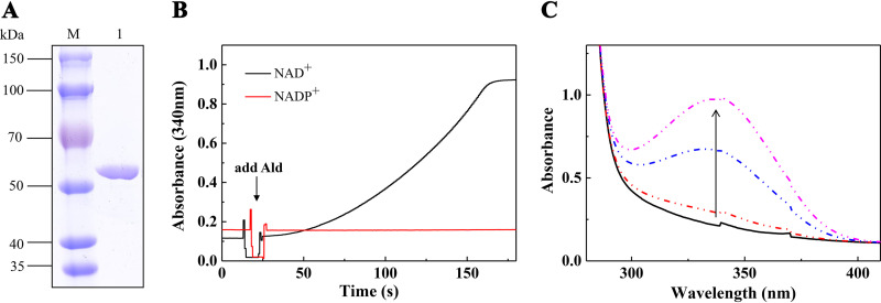 FIG 2