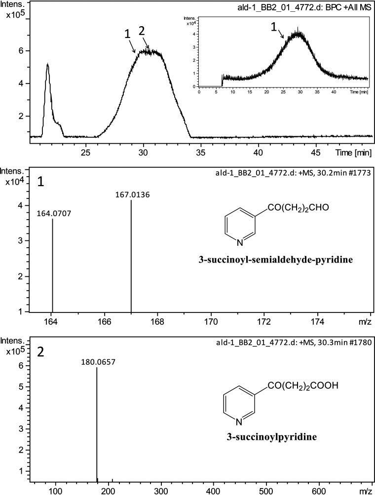 FIG 3