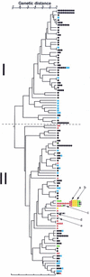 FIG. 1