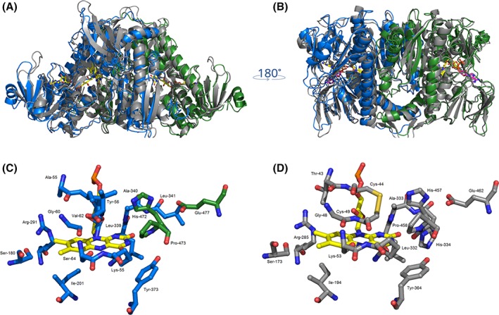 Figure 5