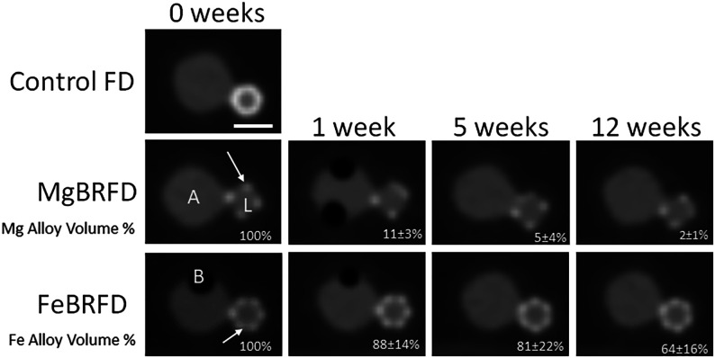 FIG 3.