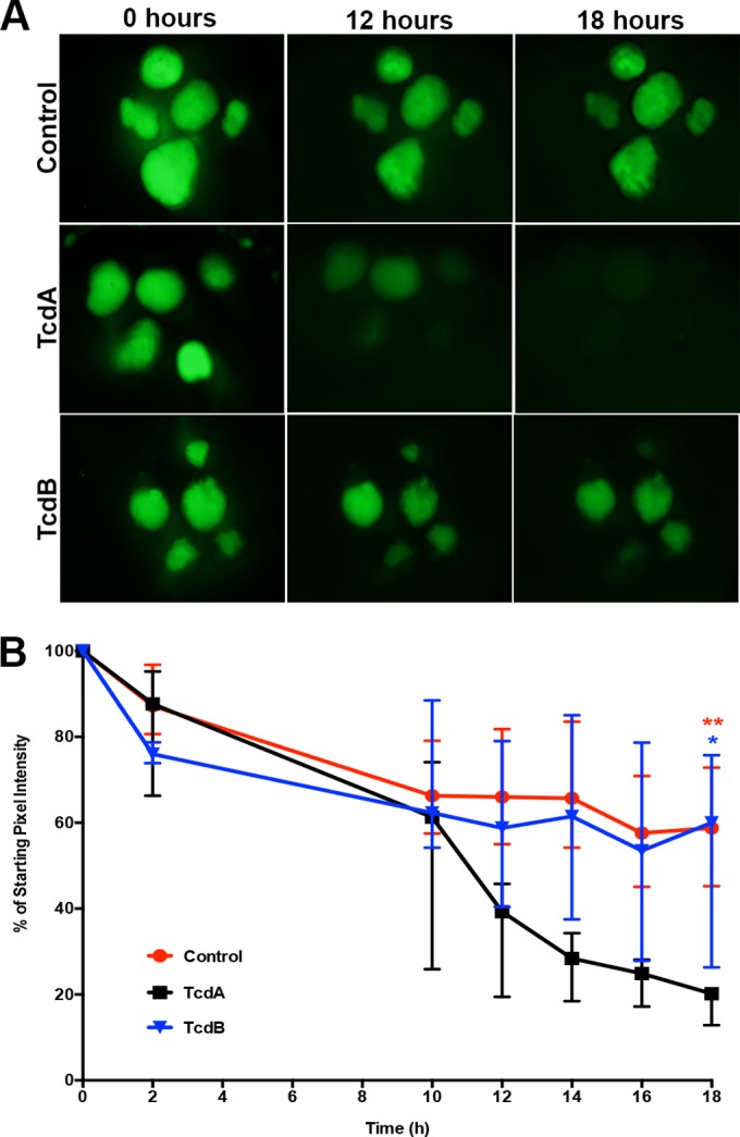 FIG 4