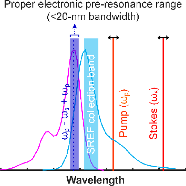 graphic file with name nihms-1042521-f0001.jpg