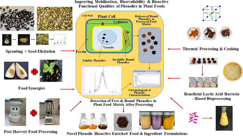 Figure 3