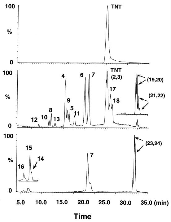 FIG. 1