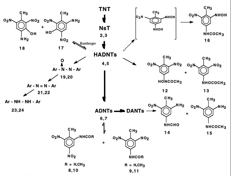 FIG. 7