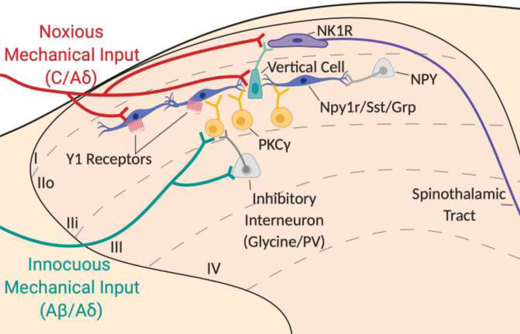 Figure 4: