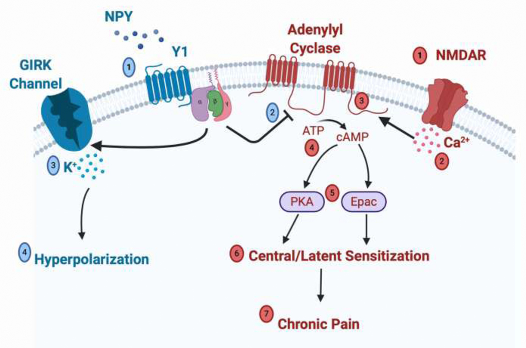 Figure 1: