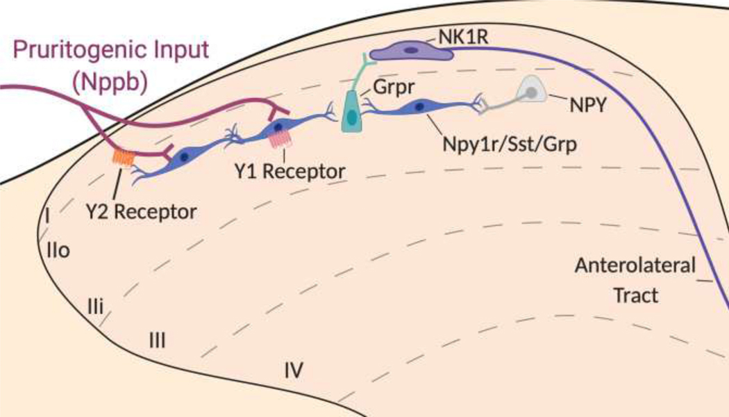 Figure 5: