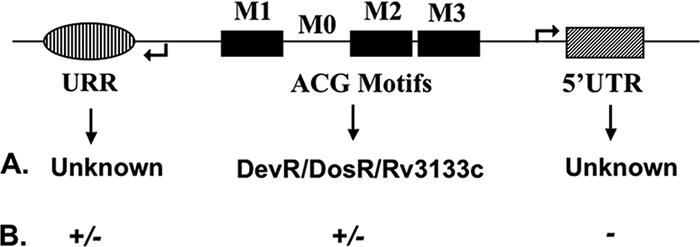 FIG. 10.