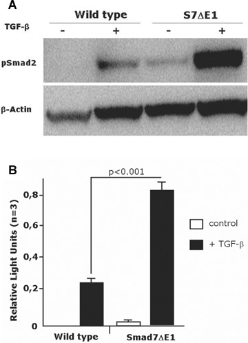 Fig 8