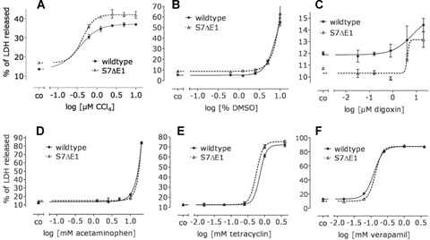 Fig 5