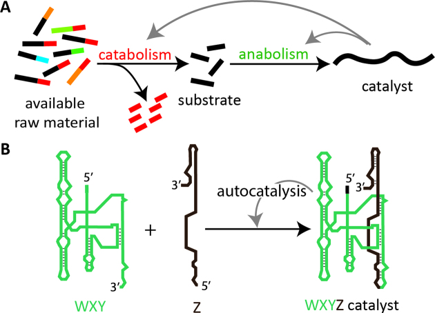 Figure 1.