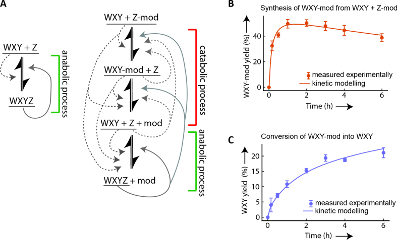 Figure 3.