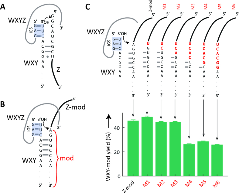 Figure 4.