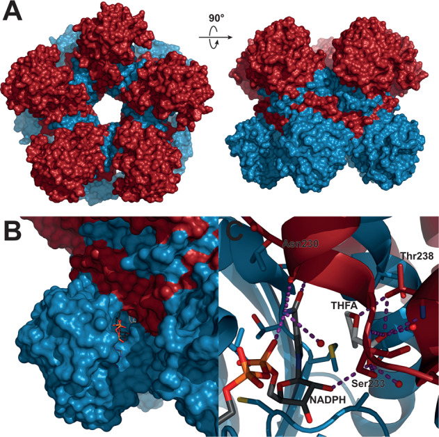 Fig. 2