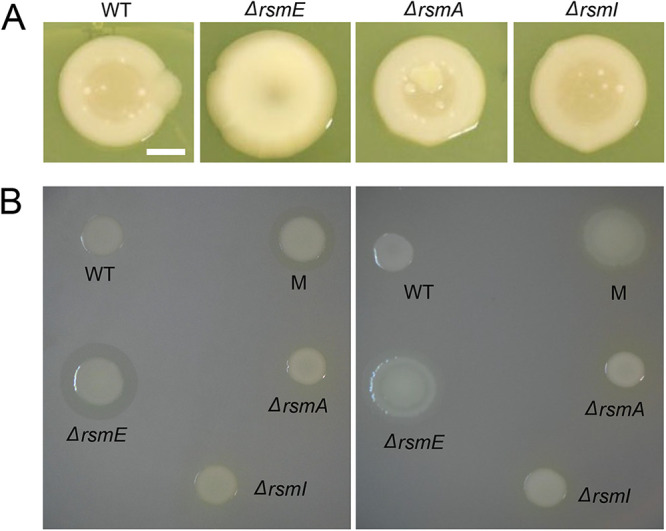 FIG 2