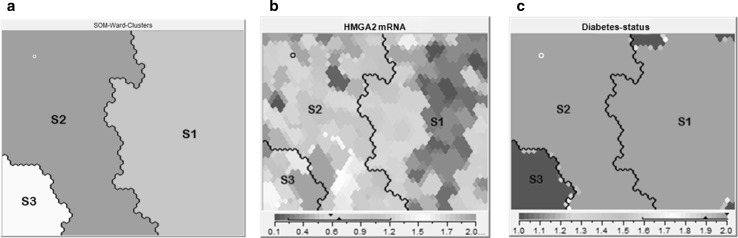 Fig. 4