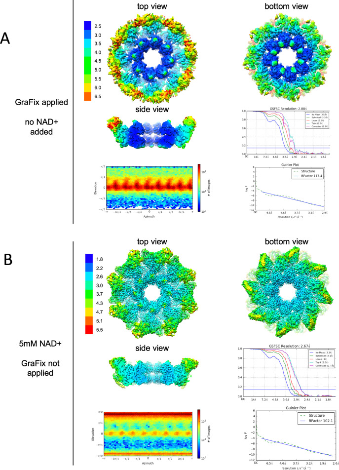 Figure 2—figure supplement 2.