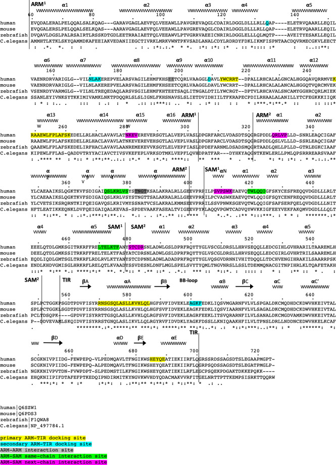 Figure 1—figure supplement 1.