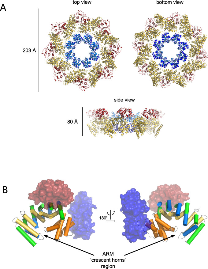 Figure 2—figure supplement 1.