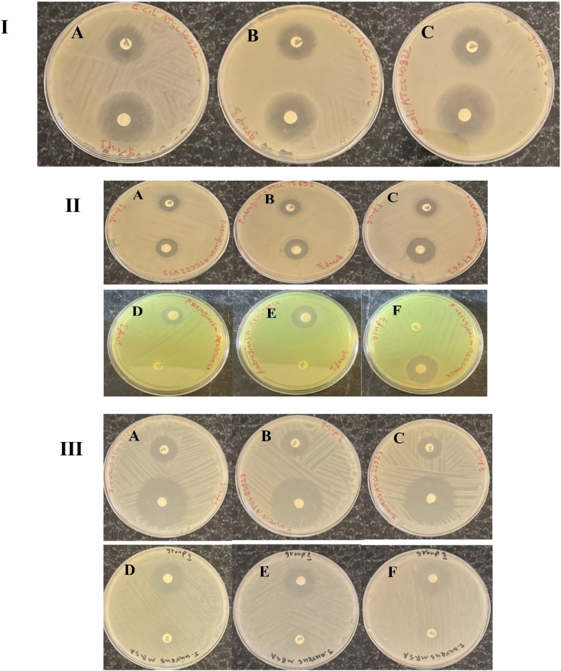 Fig. 6