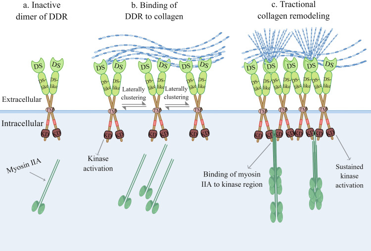 Figure 2