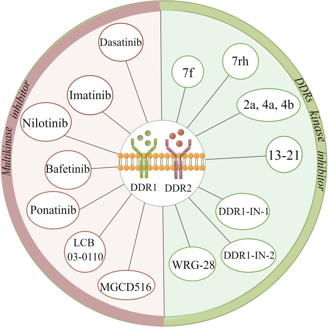 Figure 4