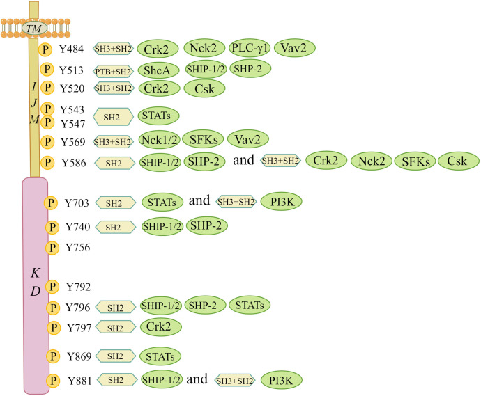 Figure 3