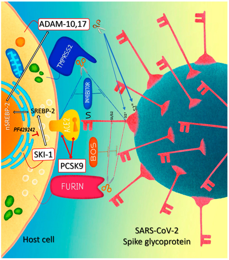 Figure 9