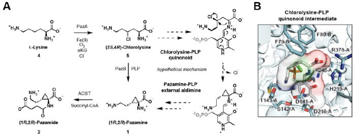 Figure 3.