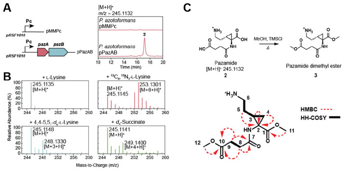 Figure 2.