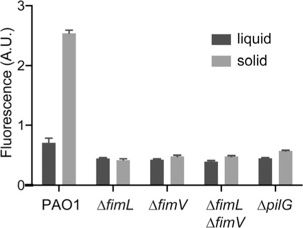 Fig. 4