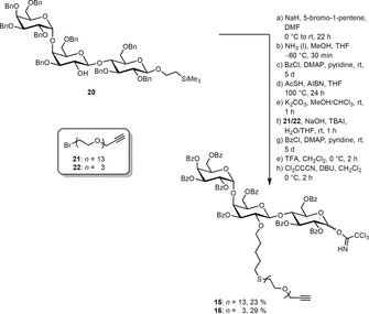 Scheme 3