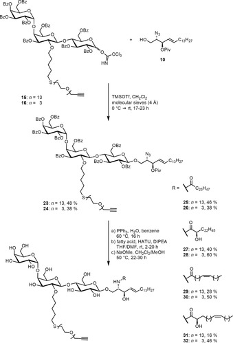 Scheme 4