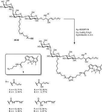 Scheme 5