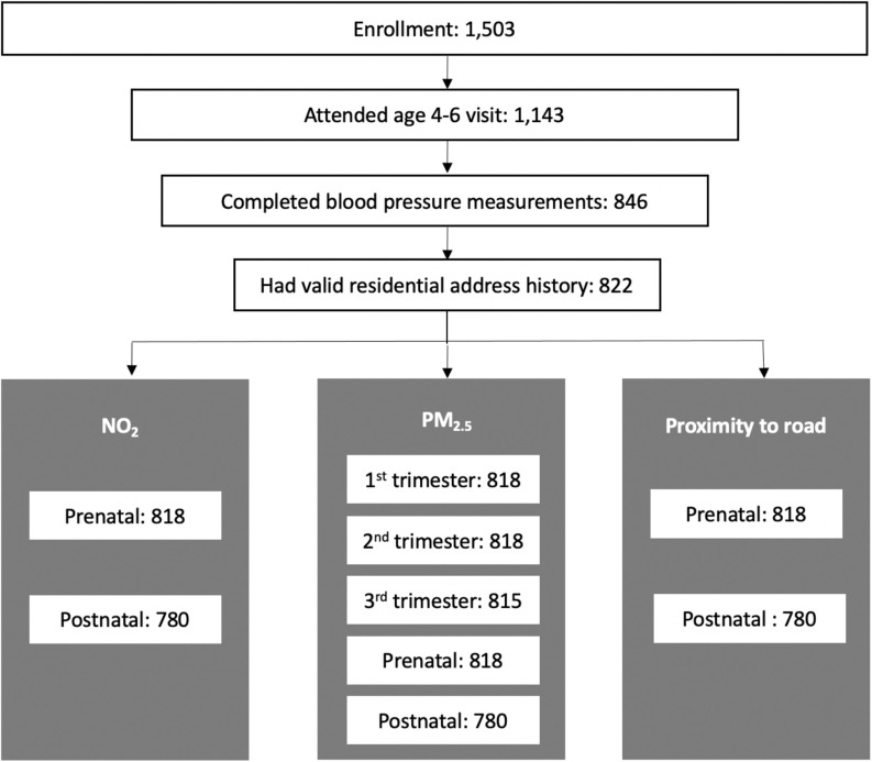 Figure 1 is a flowchart having four steps. Step 1: Enrollments are 1,503. Step 2: Out of which, 1,143 attended the age 4 to 6 years visit. Step 3: 846 enrollments completed blood pressure measurements. Step 4: 822 enrollments had valid residential address history. This is then segregated into Nitrogen dioxide, which has 818 Prenatal and 780 postnatal; Ambient particulate matter, which has 818 in First trimester, 818 in second trimester, 815 in third trimester, 818 in prenatal, and 780 in postnatal; and Proximity to road, which has 818 in Prenatal and 780 in postnatal.